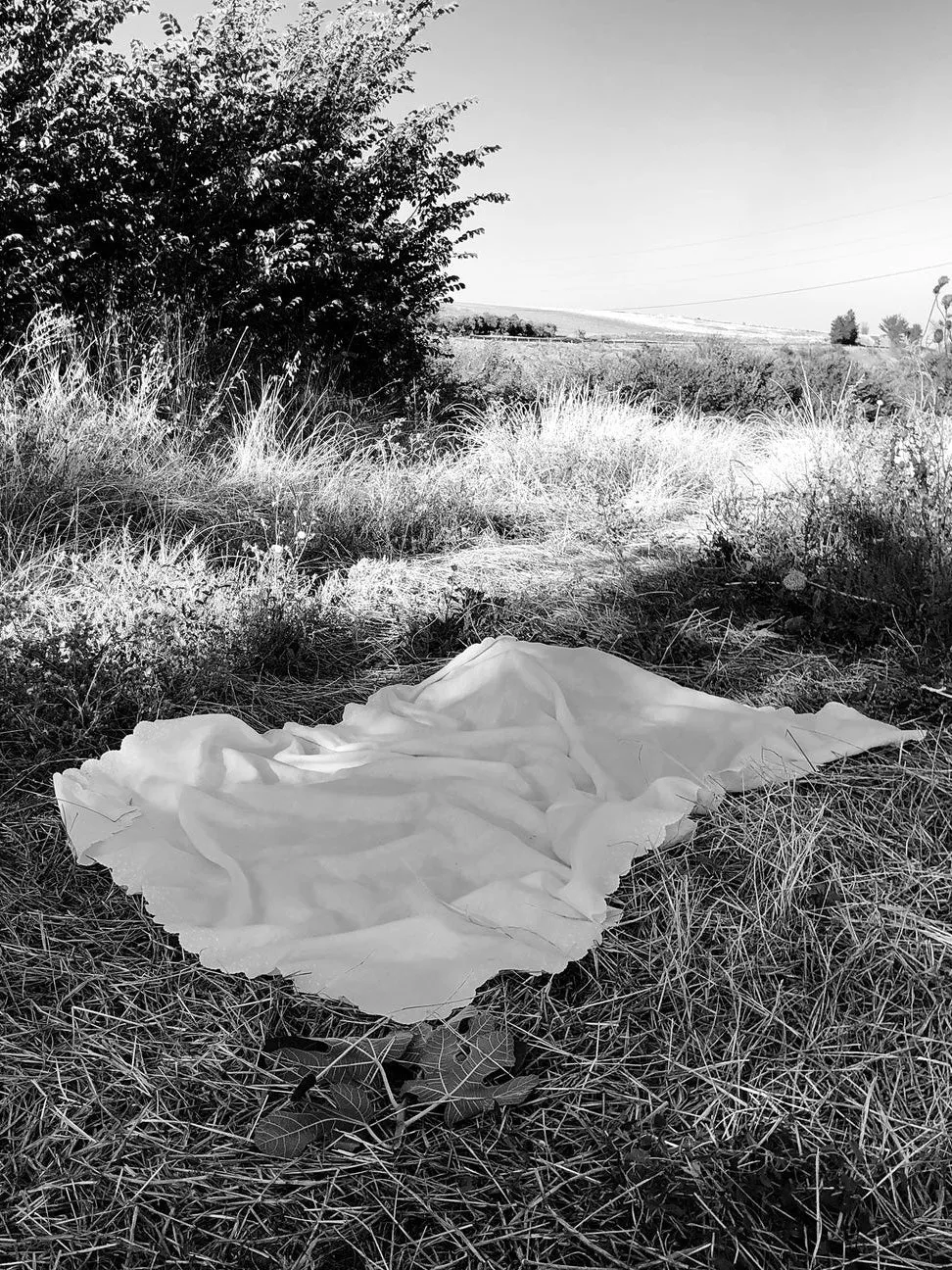 Sofia Linen Tablecloth