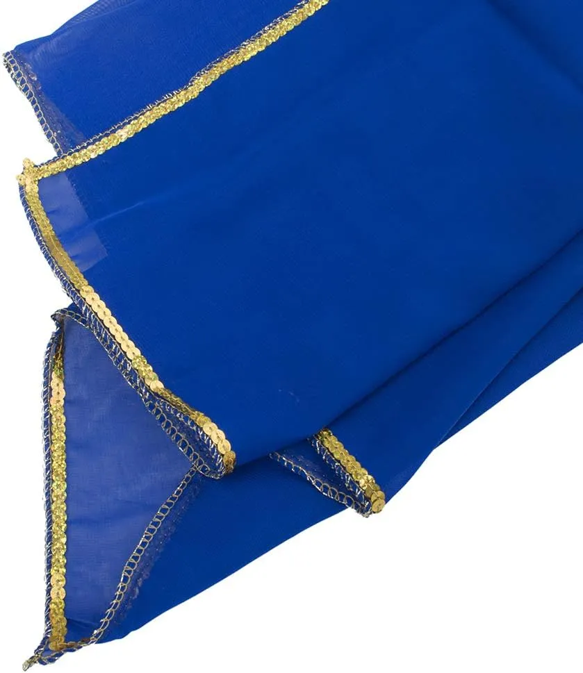 Stunning Handmade Chiffon Belly Dance Veil For Practice