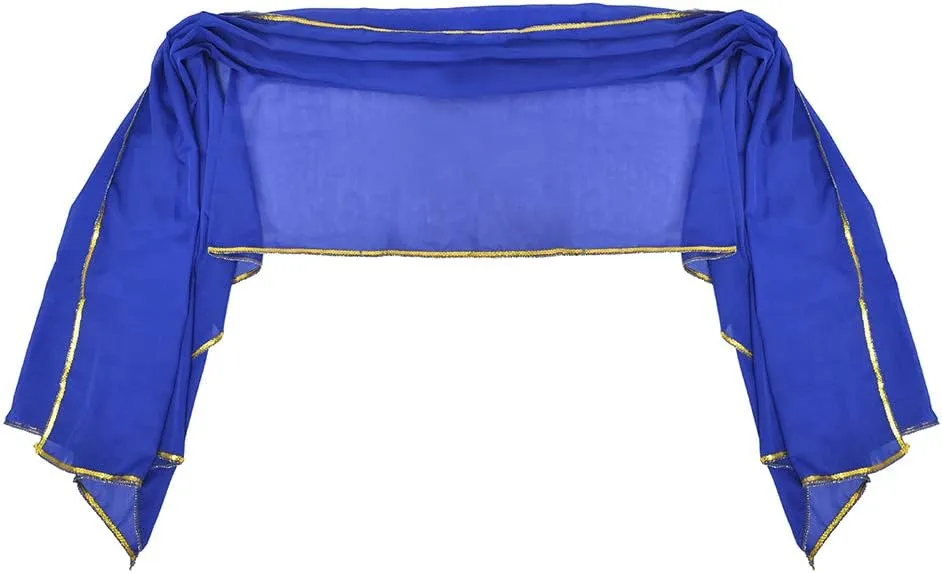 Stunning Handmade Chiffon Belly Dance Veil For Practice